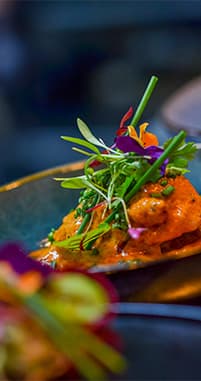A spiced dish plated with fresh herbs and an edible flower